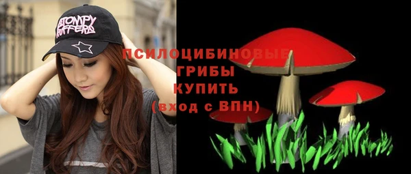 spice Абаза