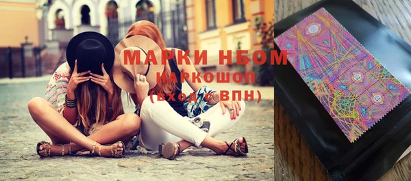 шишки Абинск